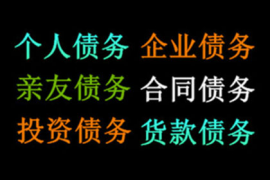 追债 马文龙:讨债攻略之公王法系列实务与案例指挥 追债 马文龙:讨债攻略之公王法系列实务与案例指挥